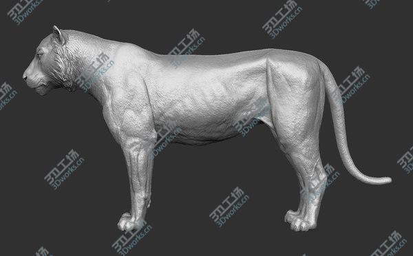 images/goods_img/20210312/3D Tiger model/5.jpg